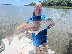 giant reddrum fish