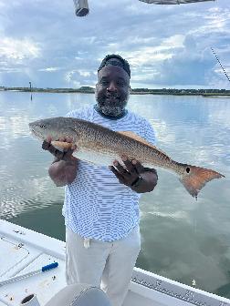 reddrum charleston sc