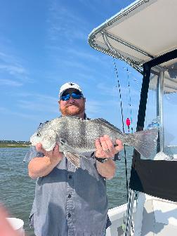 sheepshead fishing charelston