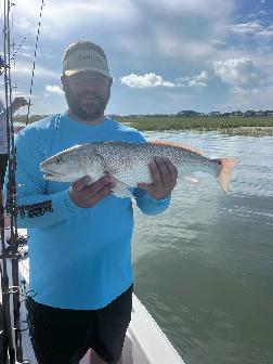 shem creek inshore fishing