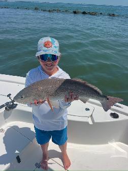 spot tail bass shem creek fishing